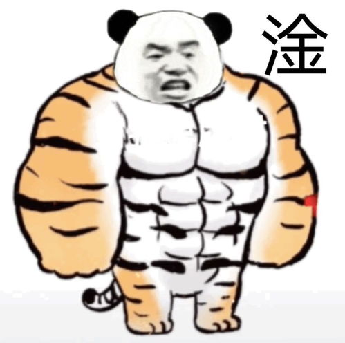 沙雕表情包在线怼人必备第二百零九篇