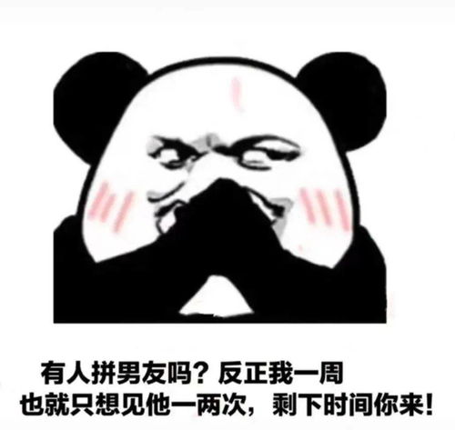 交院名媛在吗一起拼个单