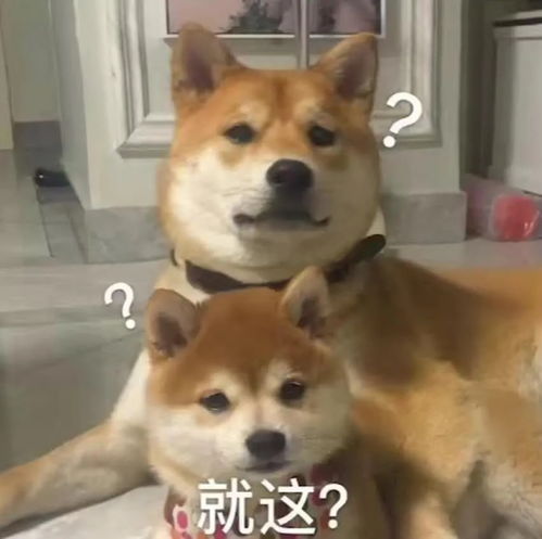vue表情包单点登录