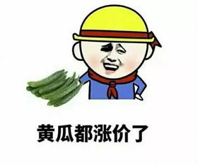老司机专用表情,要开车了哦