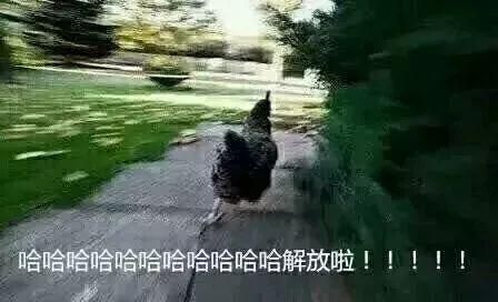 国产史诗级大片新近上映,学生党,你如何才能死里逃生