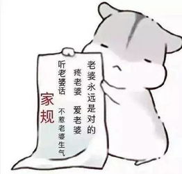表情包丨世界上没有怕老婆的男人,只有爱老婆的男人
