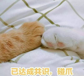 从化人,发现火灾隐患怎么破现在拿起手机就可以轻松举报啦