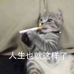 男生斗图表情包靓仔的快乐,你系不会懂的