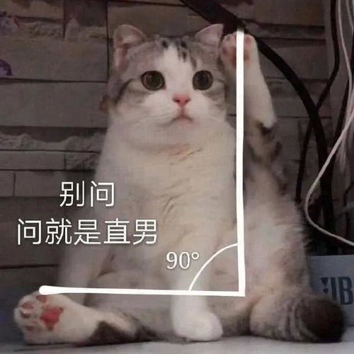 表情包你完蛋了,小老弟