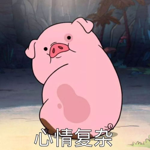 祝大家猪年都能像猪一样瘦