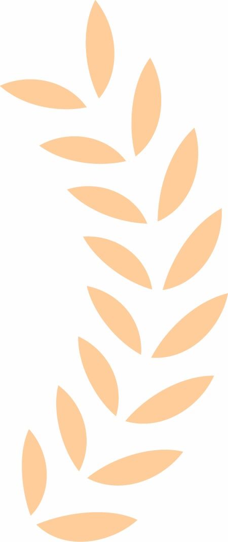 青春同心永跟党走百年党史青春说第三季合集