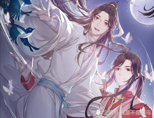 国漫天官赐福让原著粉丝飘了,你认为是尬捧还是真的好看