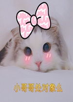 小姐姐