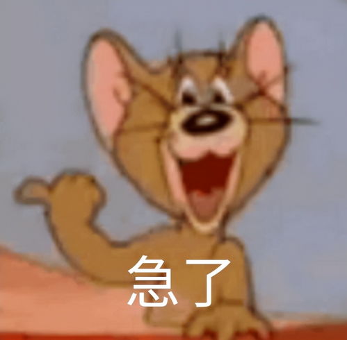 哔哔小子表情包孙一宁