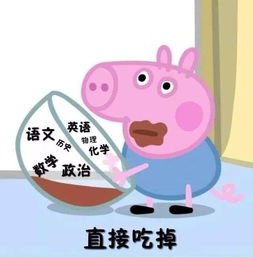 小猪佩奇表情包高清贫穷