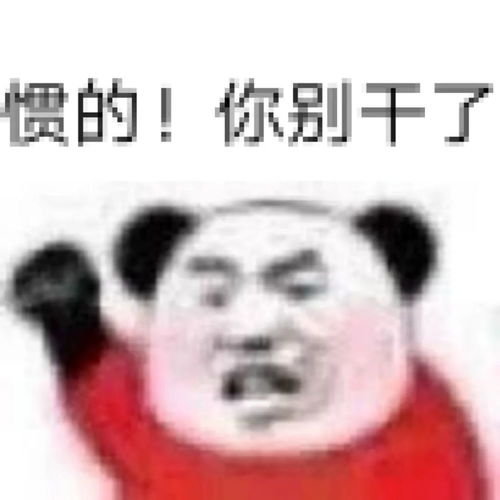 今日计划,啥也不干