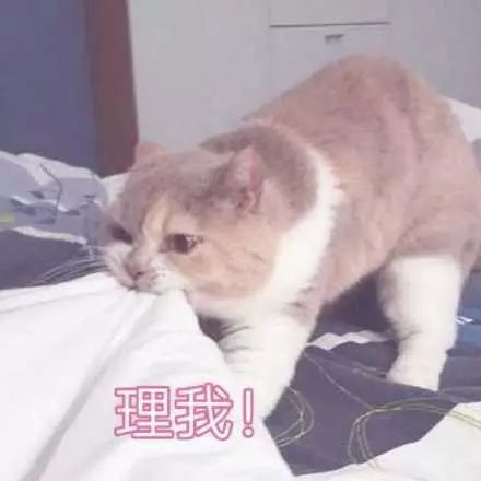 分享给你们一些撩小哥哥的表情包
