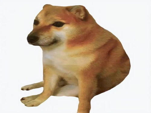 doge表情包原型去世