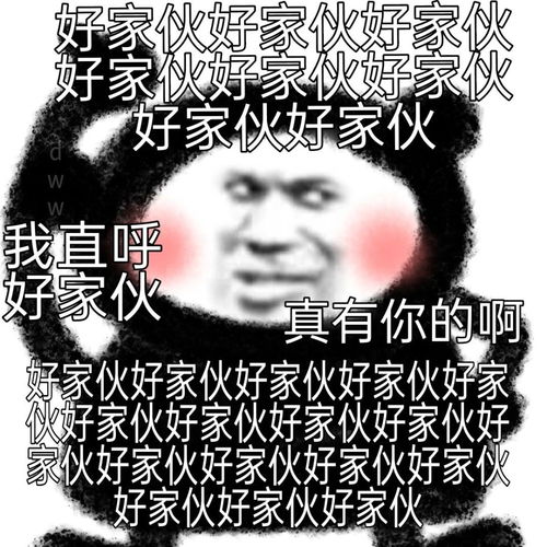 表情包分享我现在不开心,你能给我道个歉吗