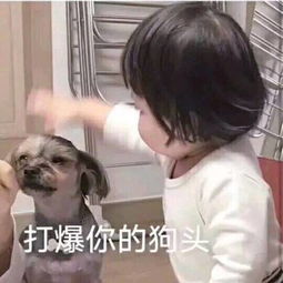 狗头表情包狗头微信表情包狗头qq表情包发表情fabiaoqing.com