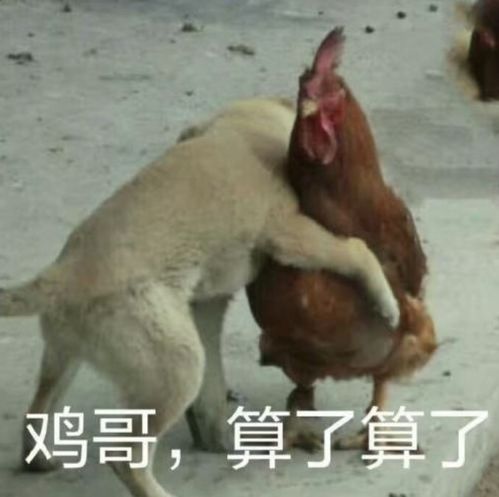 记大量日志刷盘引起的请求超时