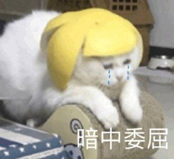谁懂社死现场