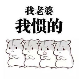 女朋友控必备表情包