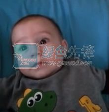 亲情的火苗说灭就灭熊本熊表情包亲情的火苗说灭就灭gif动态表情绿色免费版软件下载