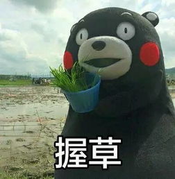 如果日本消失了,你最舍不得的是什么