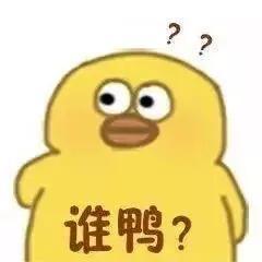 可爱鸭图片,当头像,微信背景图,表情包,都没有问题