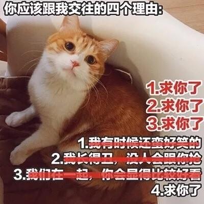 如果不是你的话都不要动漫qq情侣头像
