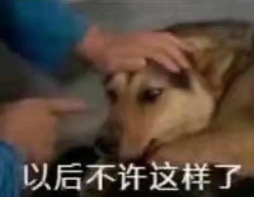 表情包baby,你还回家吗