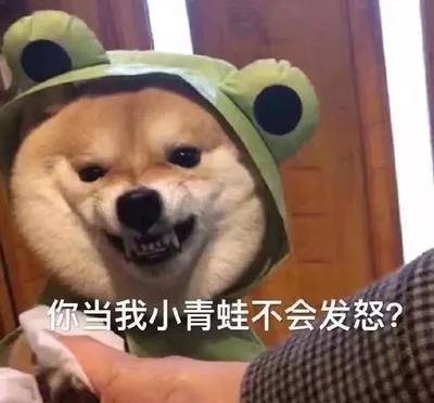 你是抱着我吹空调,还是吹着空调打游戏抱着空调打游戏哈哈哈