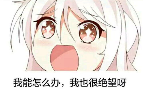 二次元表情包斗图必备圈儿