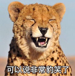 2014年nat和aum婚礼嘉宾affannup很喜欢真的被感动到