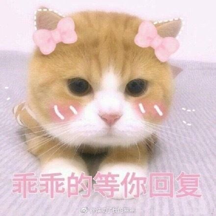 刚谈恋爱特别懵逼咋办
