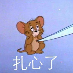和女孩同居,你需要做好10个心理准备特别是第10个