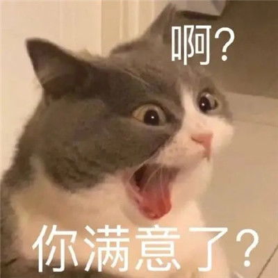 你爸爸我绝不认输全新吵架专用聊天表情包
