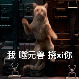 猫咪日常表情包噬元兽