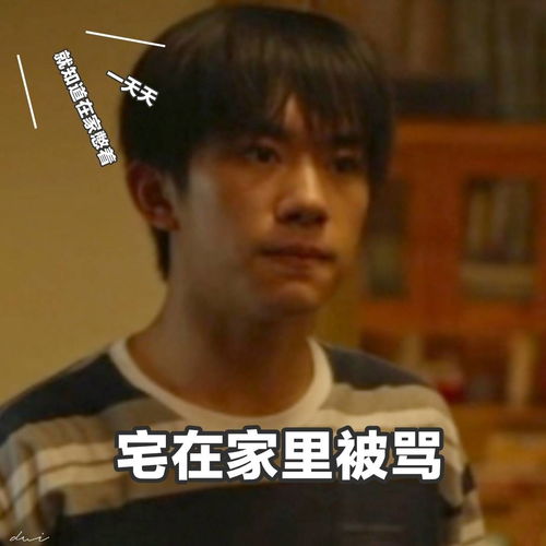 易烊千玺当代青年放假回家图鉴表情包合集,可可爱爱的烊宝来了