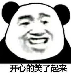 熊猫头表情包抱歉,您哪位