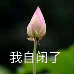 热点当红男星罕见私生活照片曝光,朋友圈的女人都炸锅了