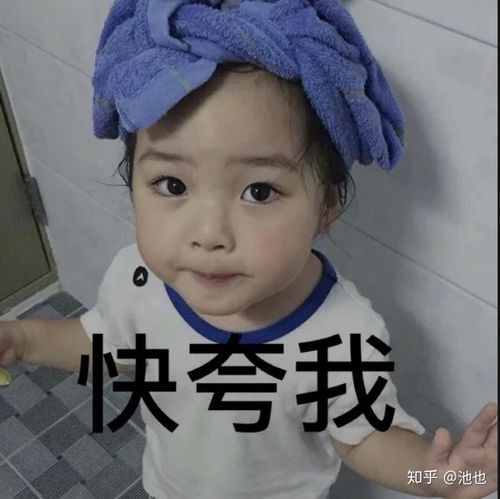影单5部全程高能的电影推荐