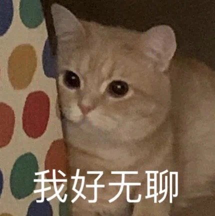 萌宠表情包啊,我这华而不实的脑袋