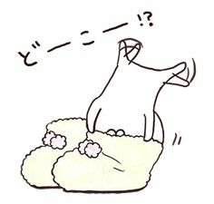 有没有人知道这个表情包的猫叫什么名字呀