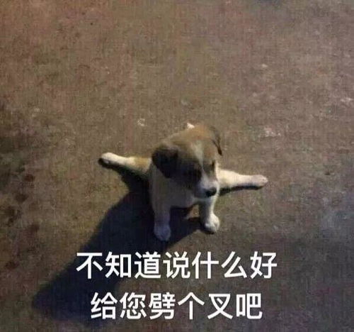 大学的学生会人际关系有多复杂