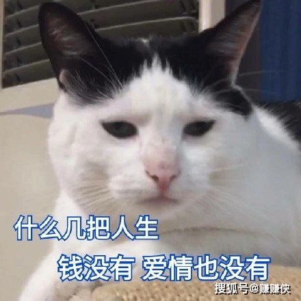 最新热门表情包图片我可爱吗,按下脏话开关