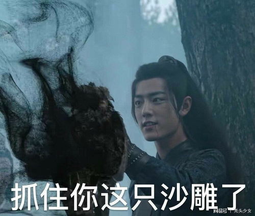 你不得不get的表情包之陈情令