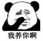 那你养我呀表情包表情包
