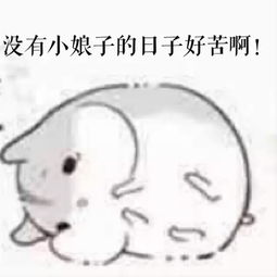 hamham小仓鼠小娘子和夫君君表情包堆糖,美好生活研究所