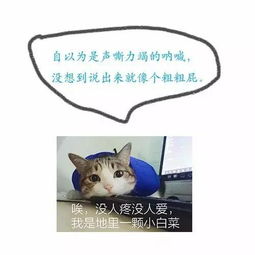 七夕过后,嗓子哑了说不出来话是一种什么感受