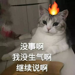 斗图日常算命10块,你算什么东西