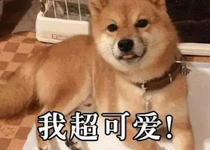 福州2名学霸实现竞赛金牌零突破,被报送清华