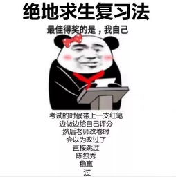 2019上半年的网络热词都有哪些我太难了